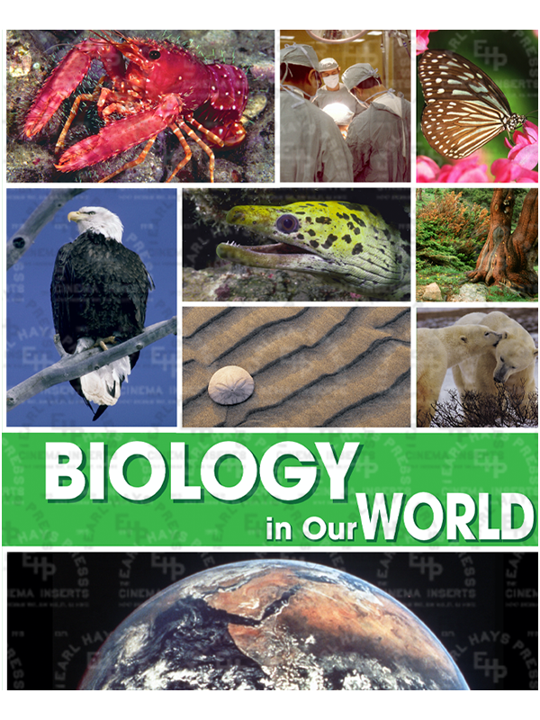 BK-100 Biology of the World