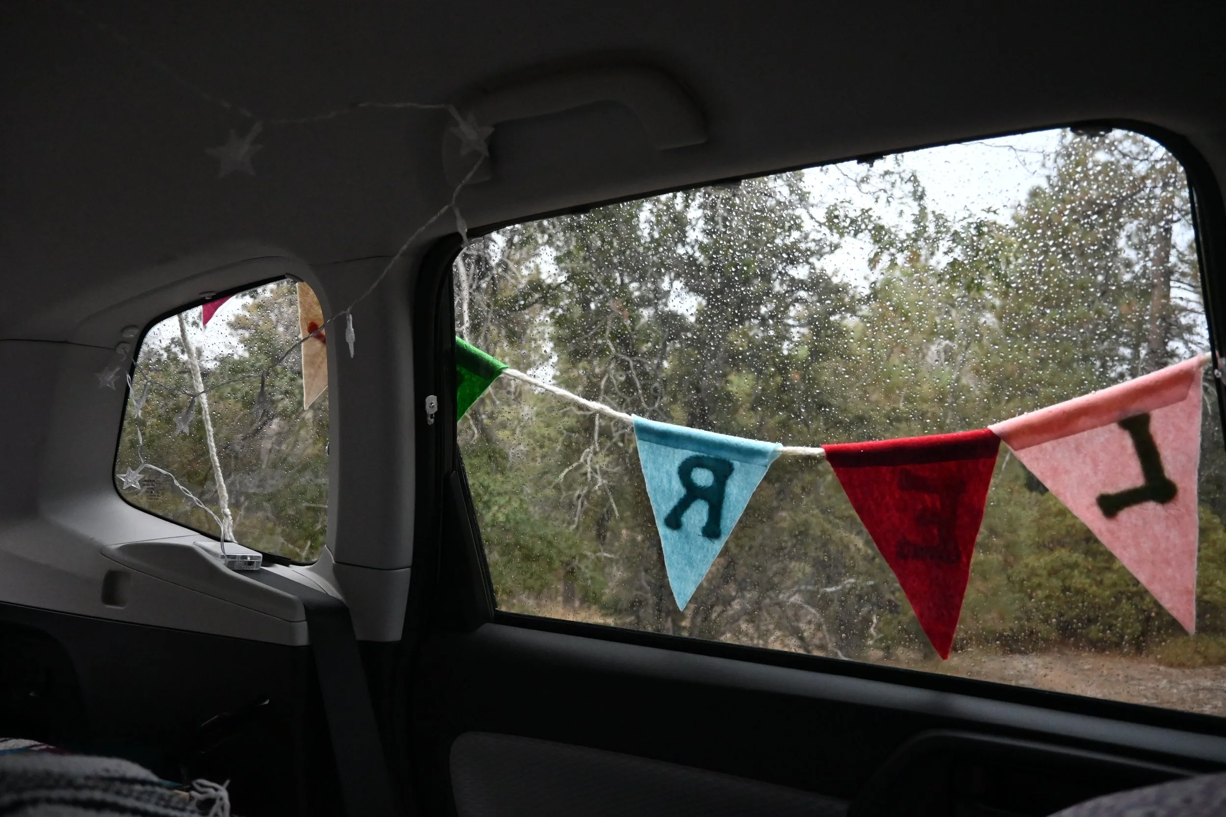 DSC_0803.JPG
