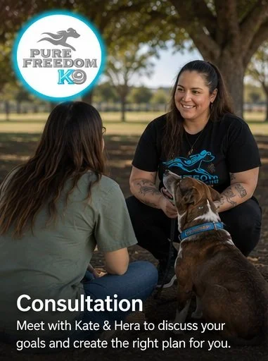 Consultation.jpg