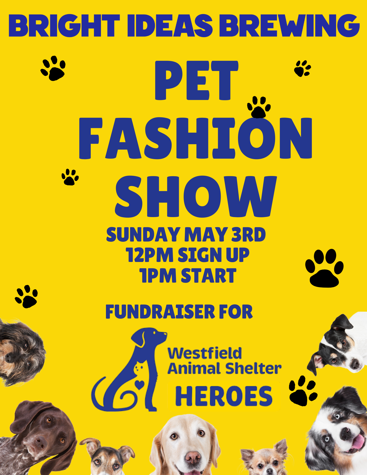 Pet Fashion Show 