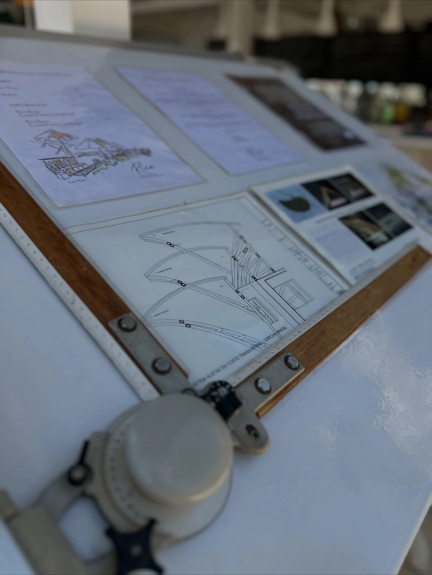 Naturally Curated Spaces