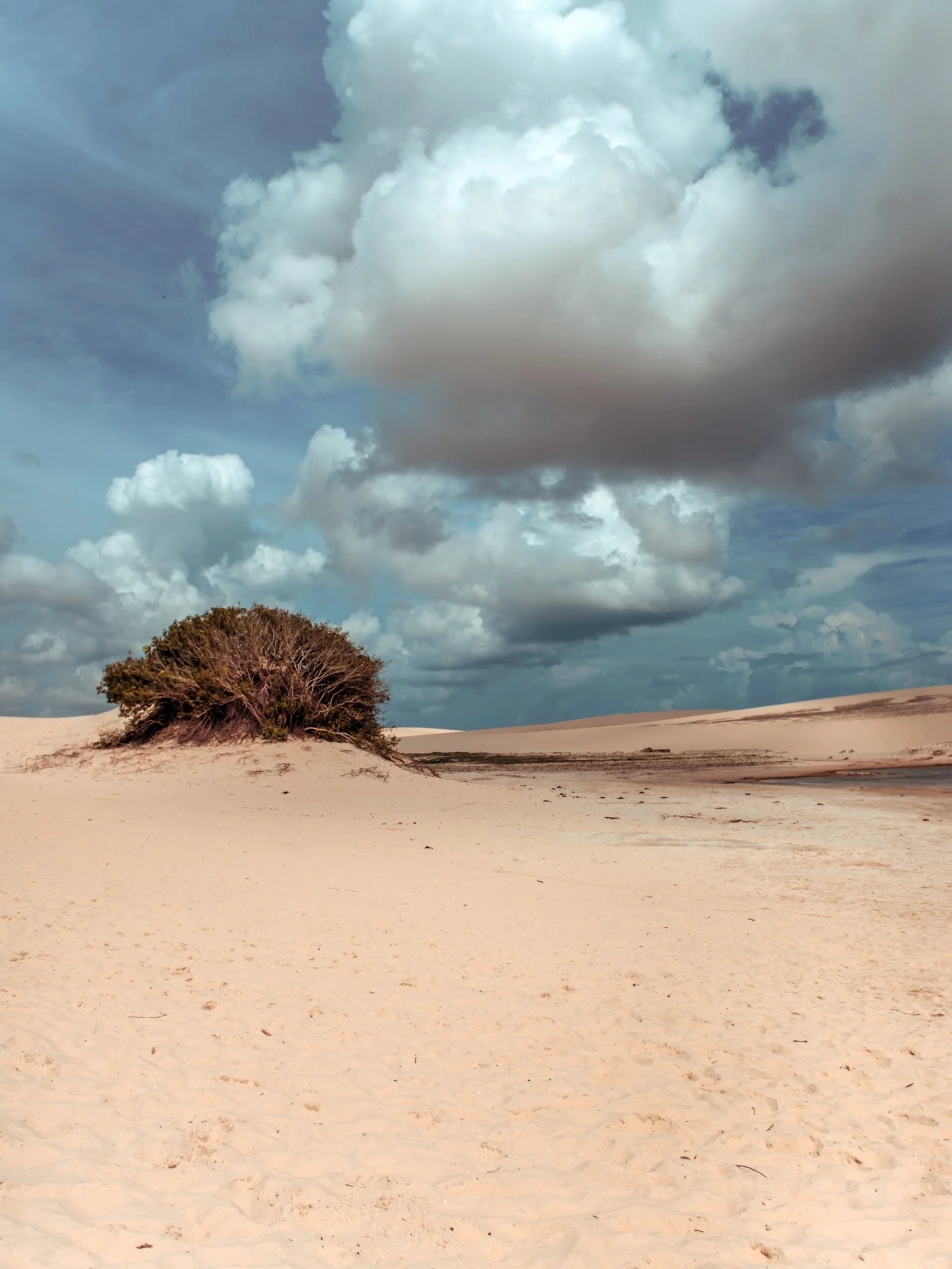 Dez minutos a p&eacute;, e a vila j&aacute; ficou para tr&aacute;s.

O que resta &eacute; areia, vento, e um deserto que toca o mar &mdash; cantos que o mapa n&atilde;o marca. Chili Beach &eacute; o ponto de partida. O resto, nosso concierge ajuda a 