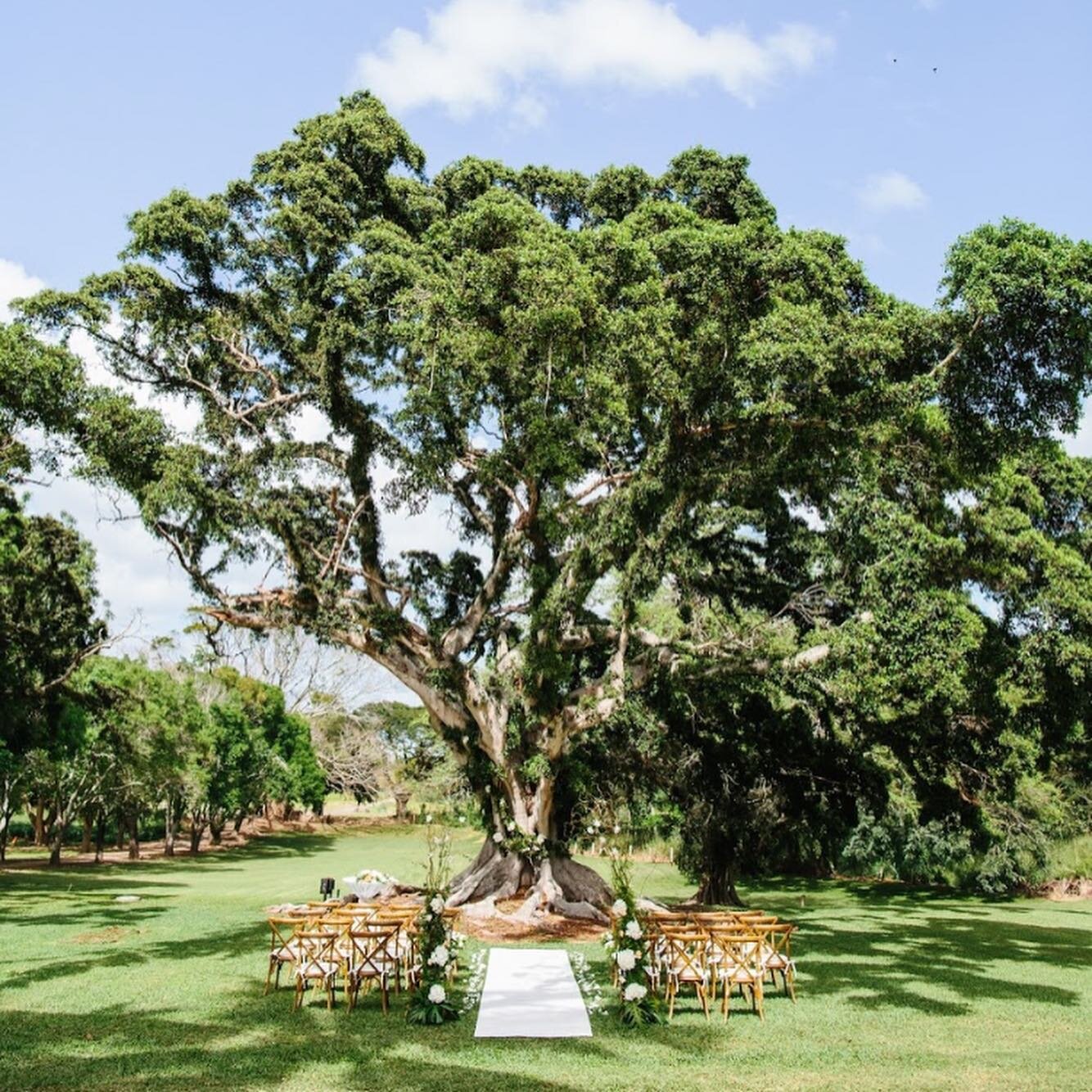 Can&rsquo;t wait to do more weddings at this gorgeous venue @dillinghamranch 
Stay safe and healthy everyone!! 
Photo: @absolutelylovedphoto