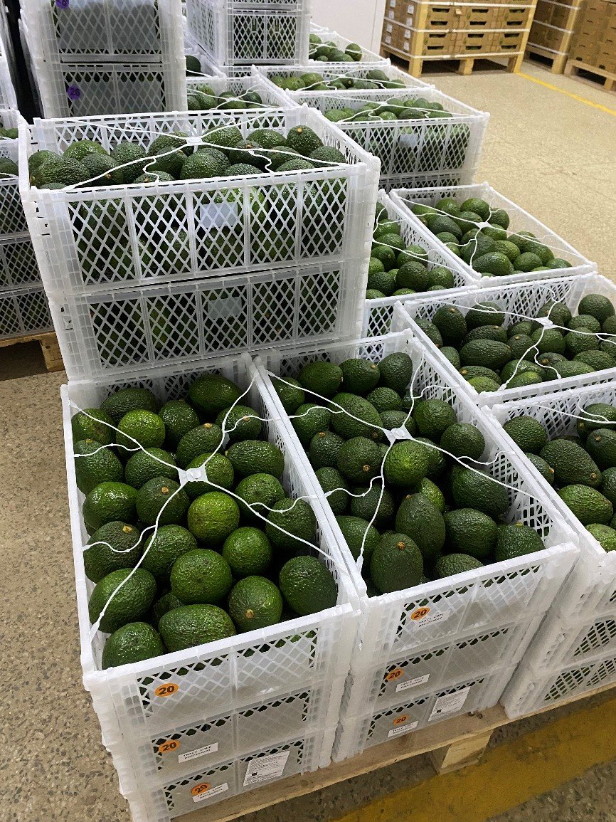 Lessons from the Ground: What Agri-SMEs Reveal About Scaling Restoration