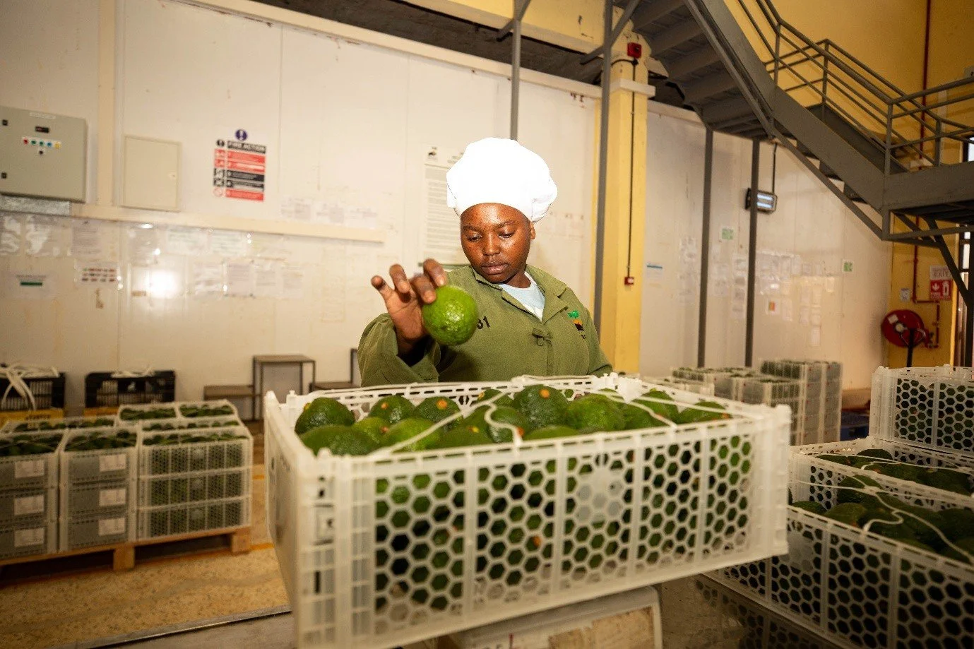 From Markets to Landscapes: Which Value Chains Hold the Most Promise for Restorative Impact?