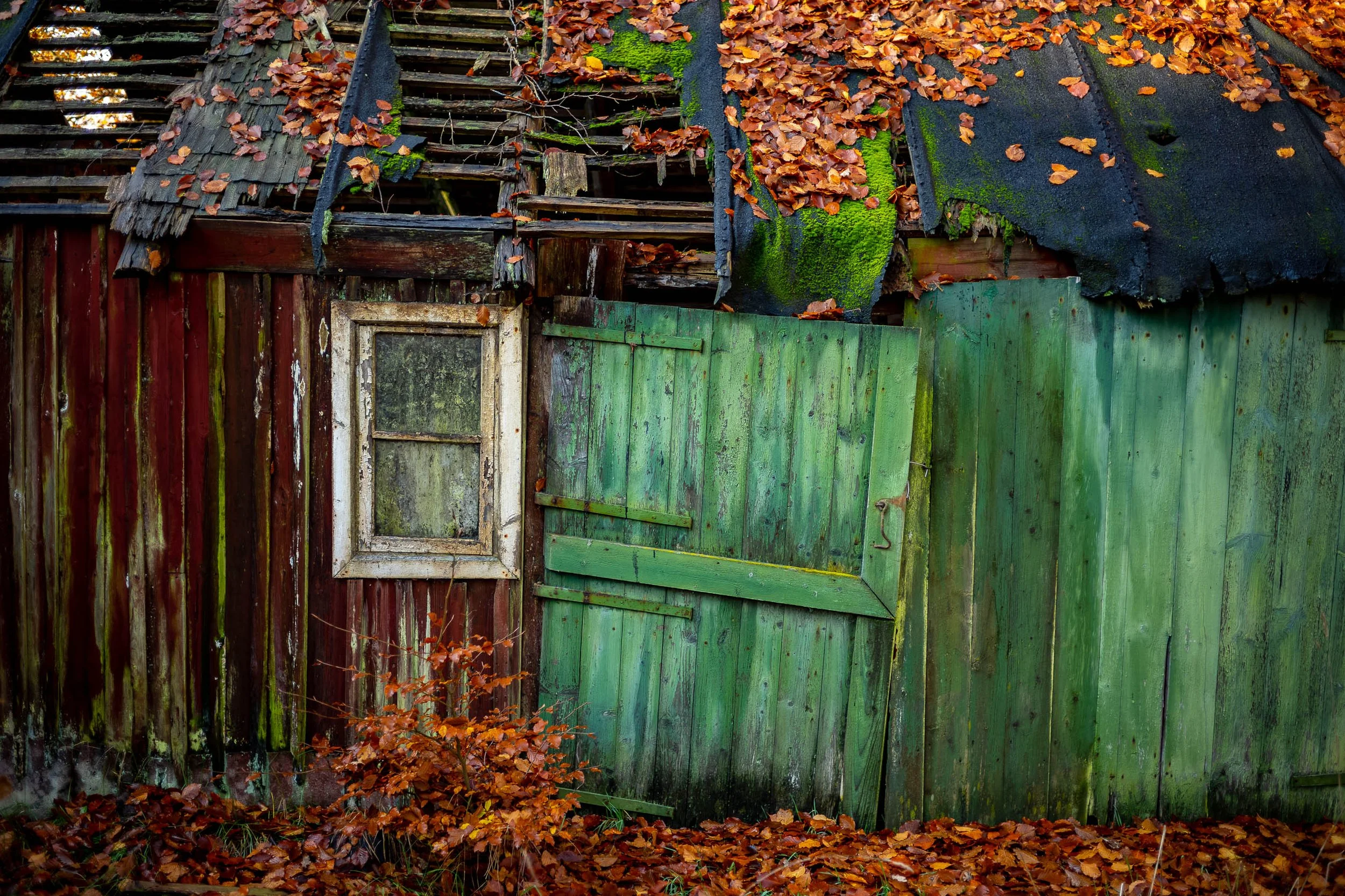L1000548.jpg