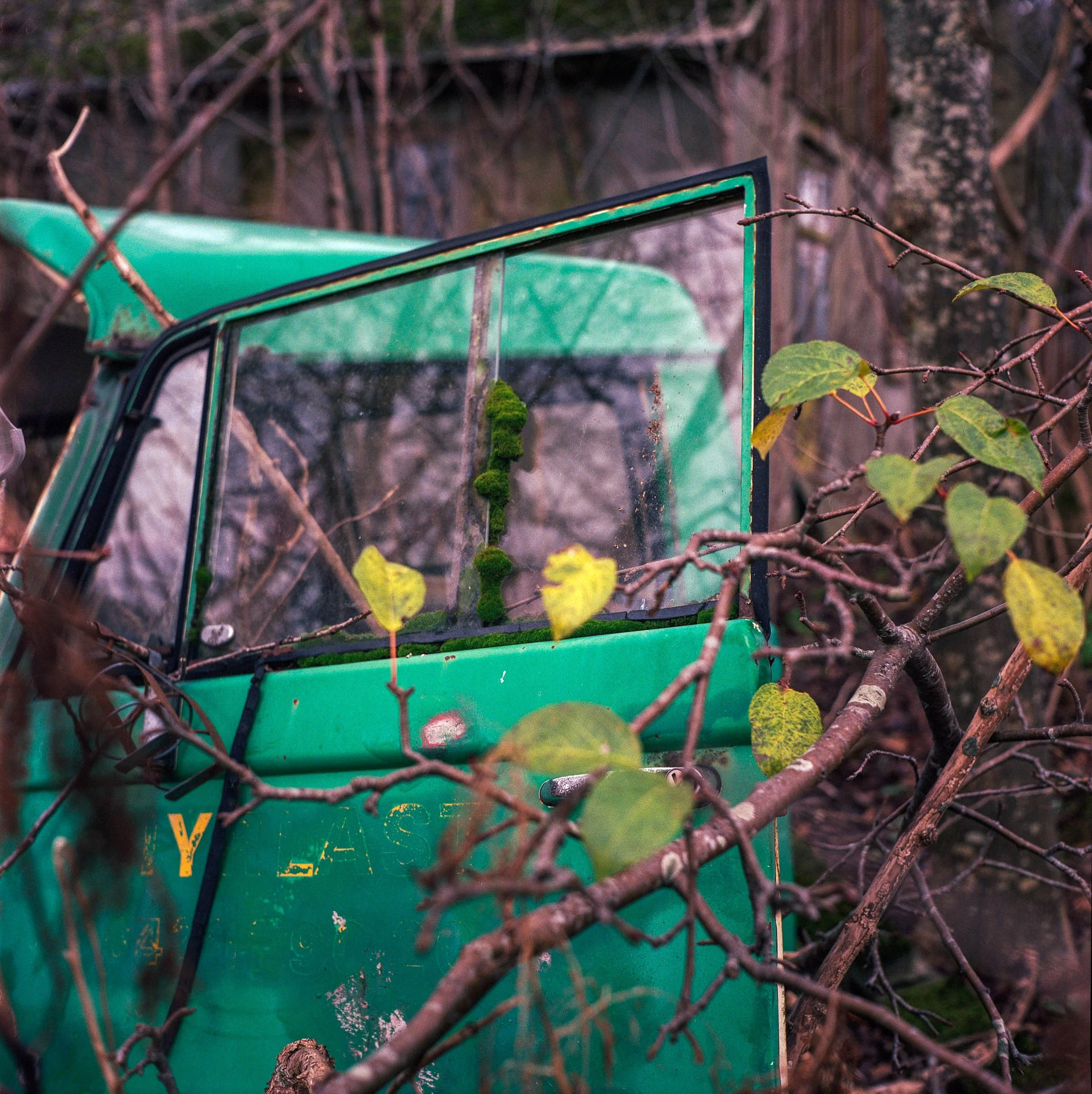 Yashica-012-09.jpg