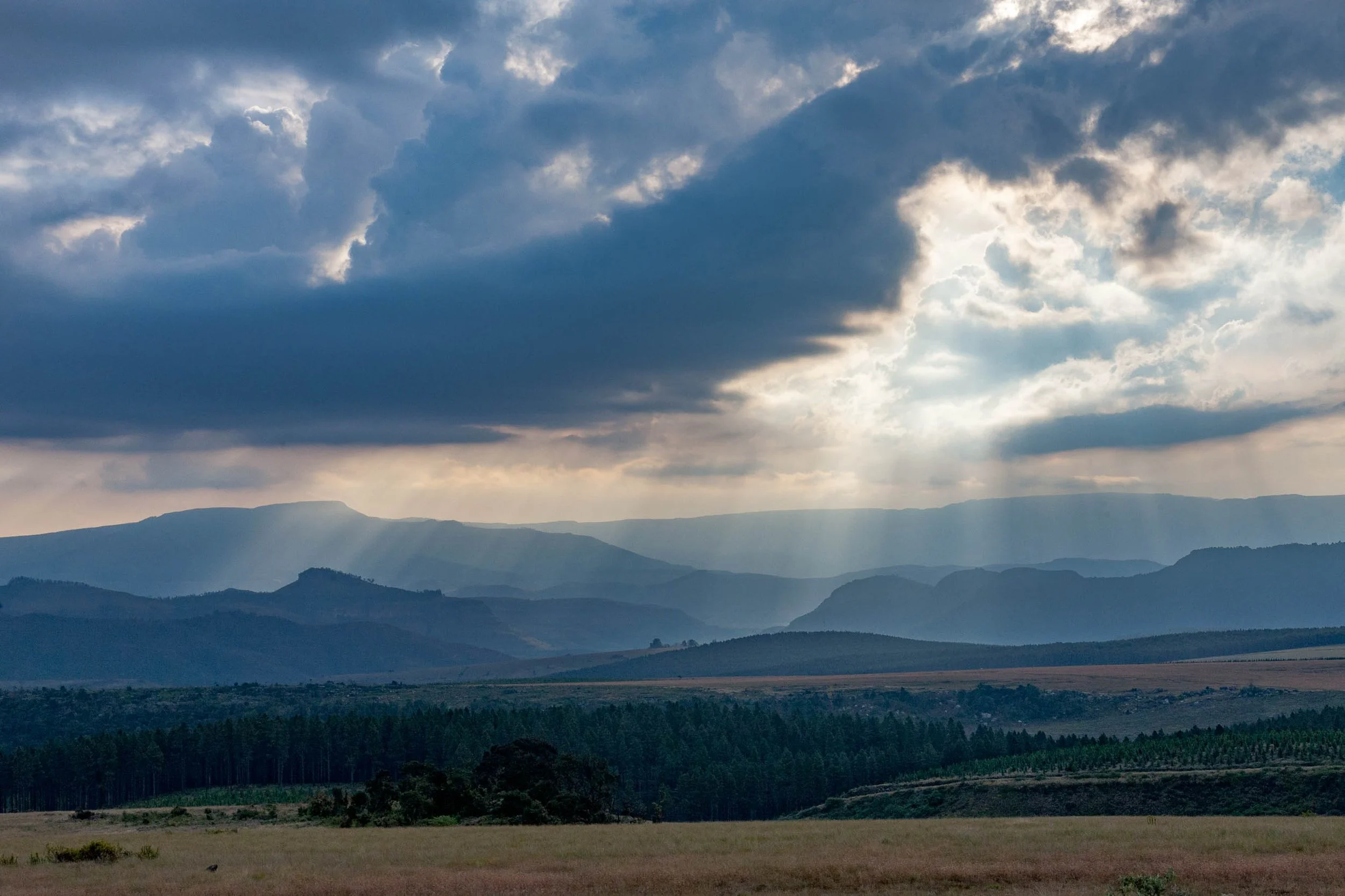 20110430-_MG_9220.jpg