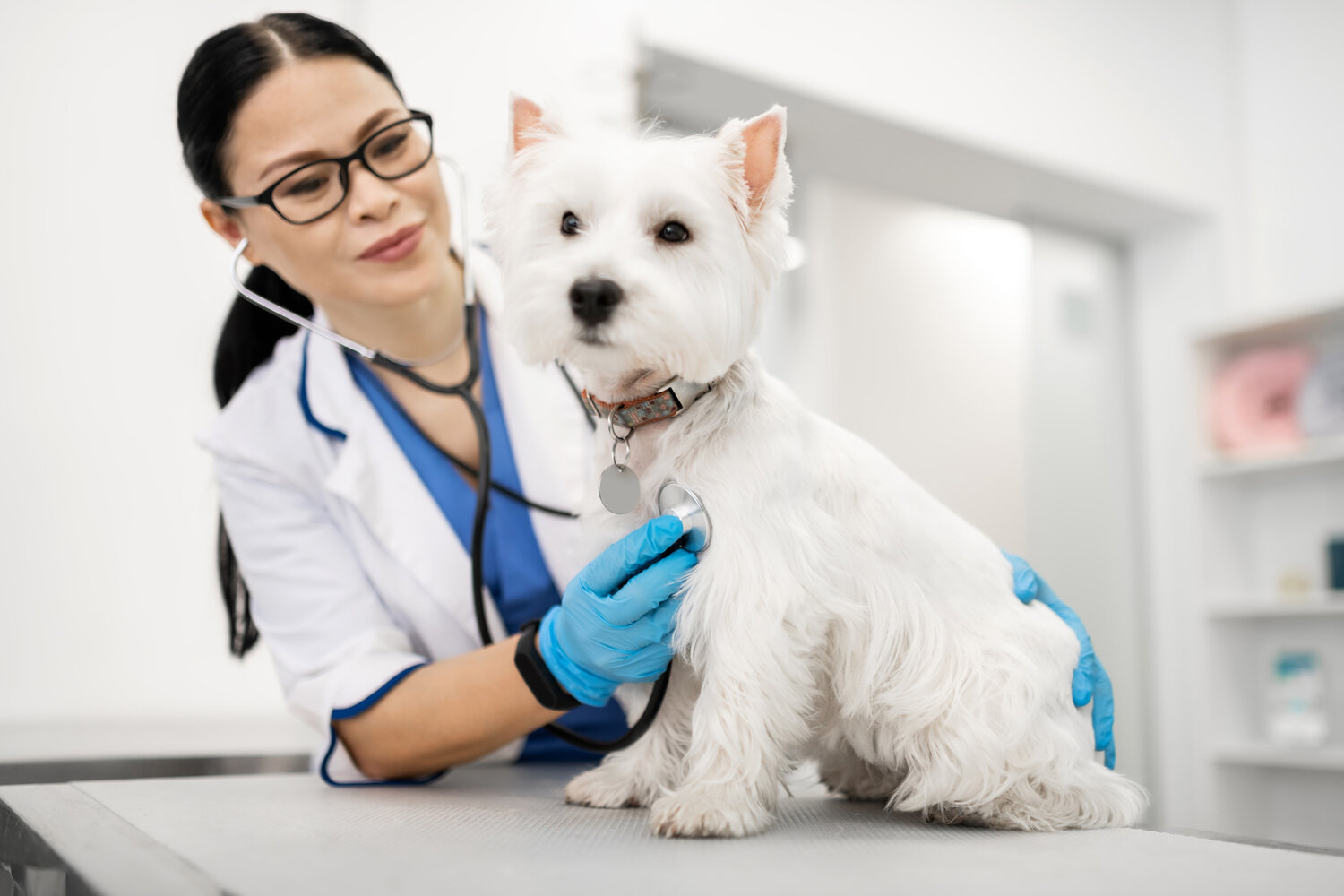 Lockhart Veterinary Consulting