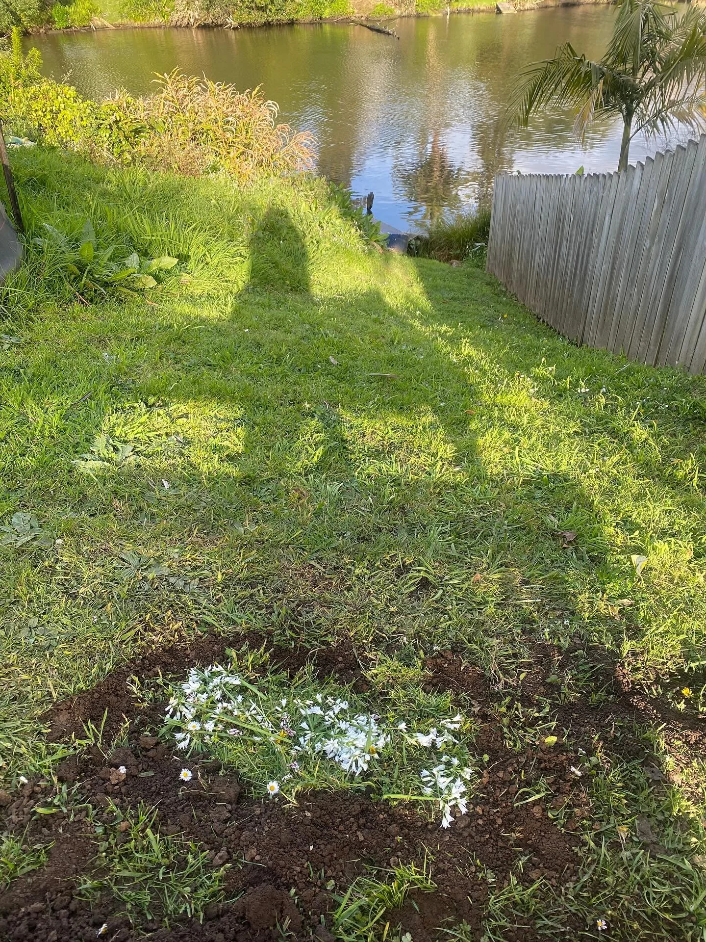 I buried my best friend of 15 years yesterday. 
She sat with me through everything.
Like an adult version of a child&rsquo;s cuddly.
Her scent instantly calming my CNS.
Her presence signaling &lsquo;home&rsquo;. 
She shared my bed for 15 years. 
And 