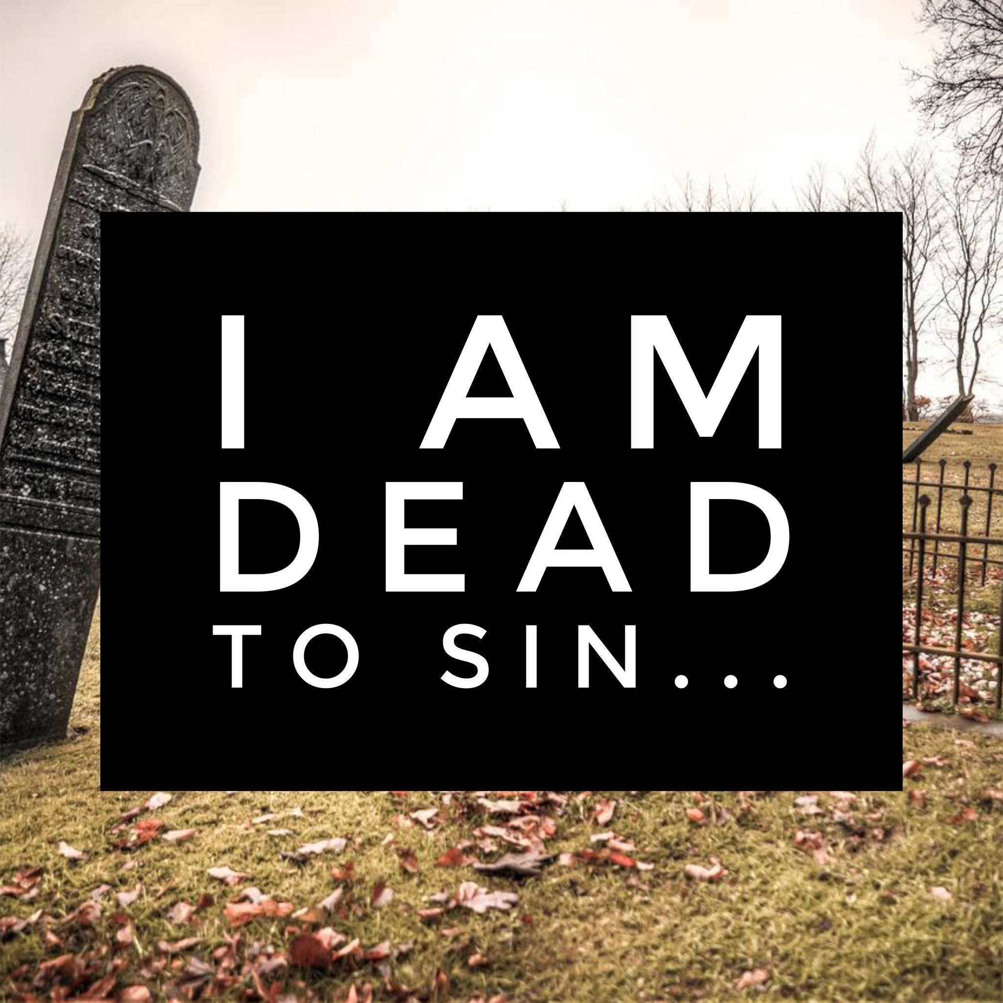 Who Am I? Dead to Sin