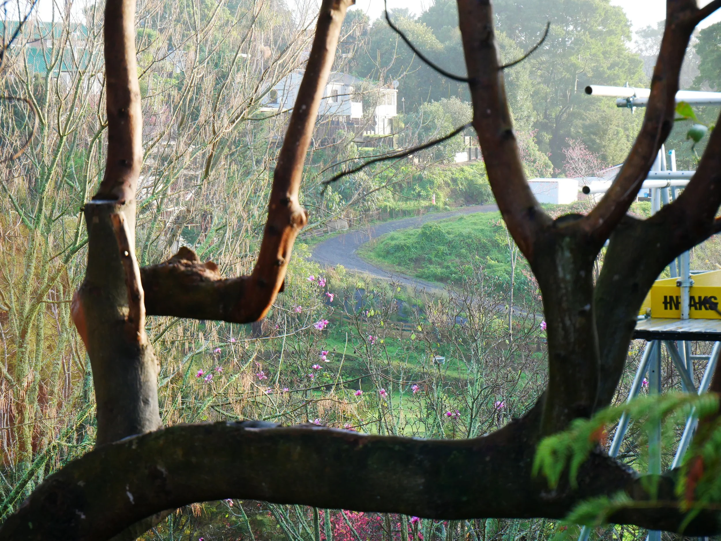 An Encouragement for Those in a ‘Winter Season’