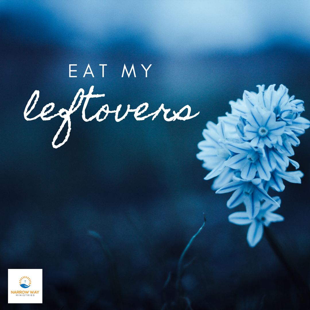 Eat My Leftovers!