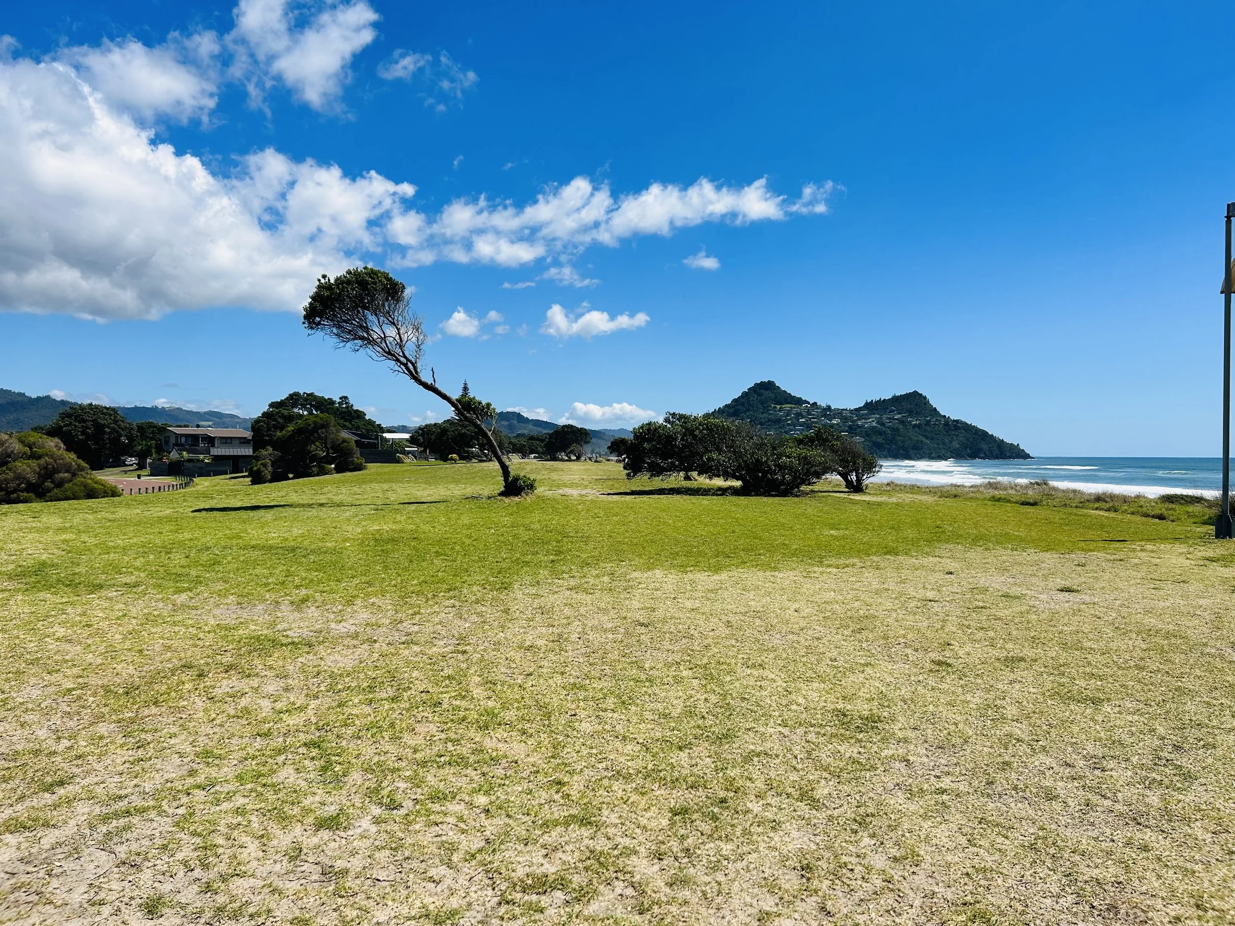 There is Beauty in the Storm…