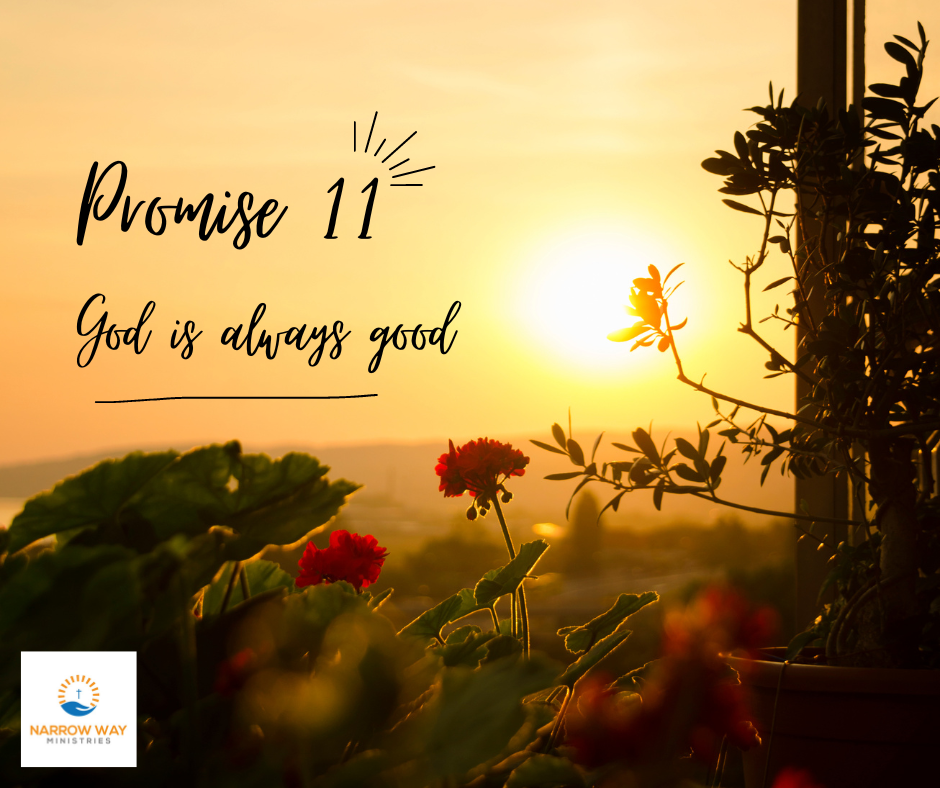 30 Days of Promises - #11