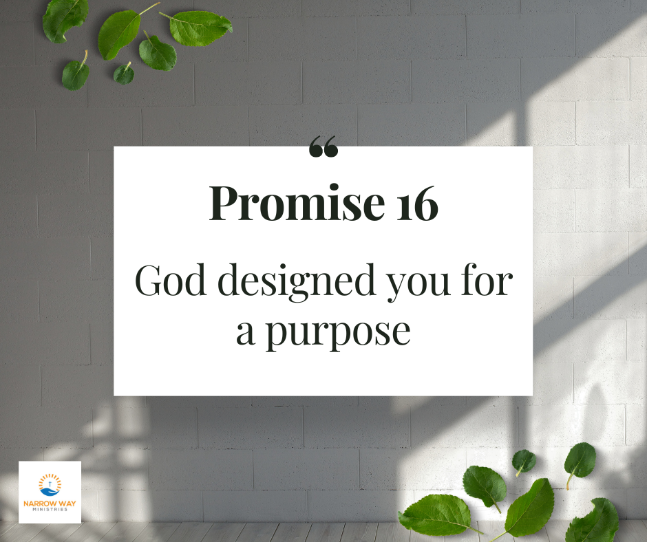 30 Days of Promises - #16