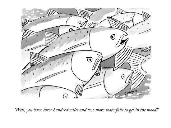 well-you-have-three-hundred-miles-and-two-more-waterfalls-to-get-in-the-new-yorker-cartoon_u-l-pgqpl90.jpg