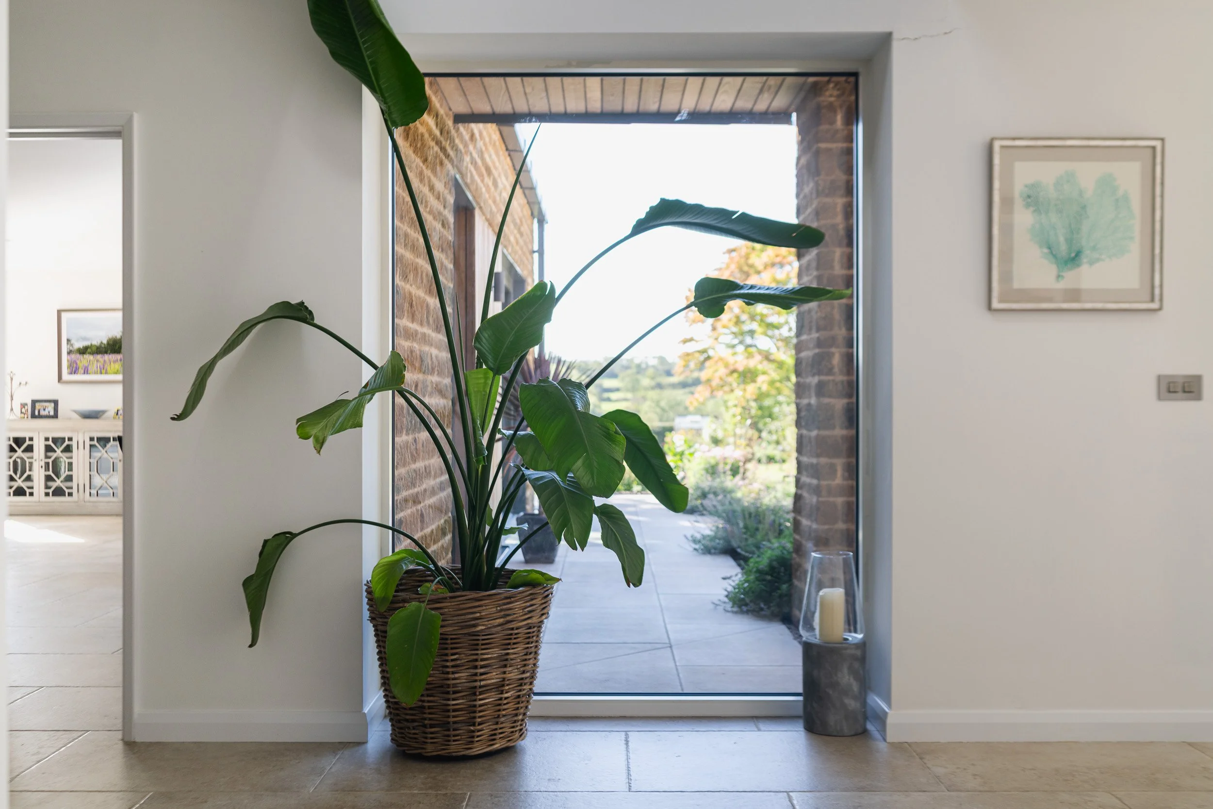 A large plant in a woven basket beside a glazed doorway overlooking a paved passage and garden.