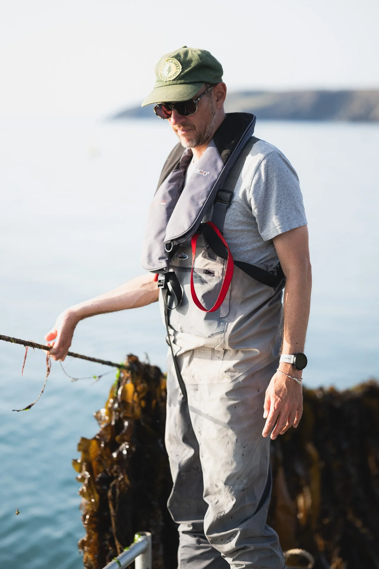 Person lifting a cultivated seaweed line from the water.