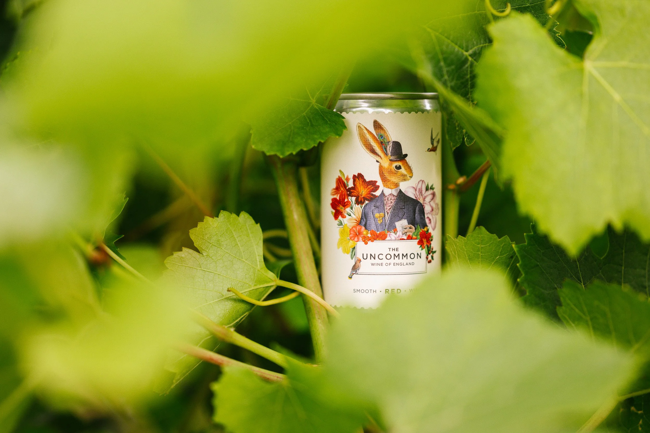 A can of The Uncommon wine framed by vine leaves.