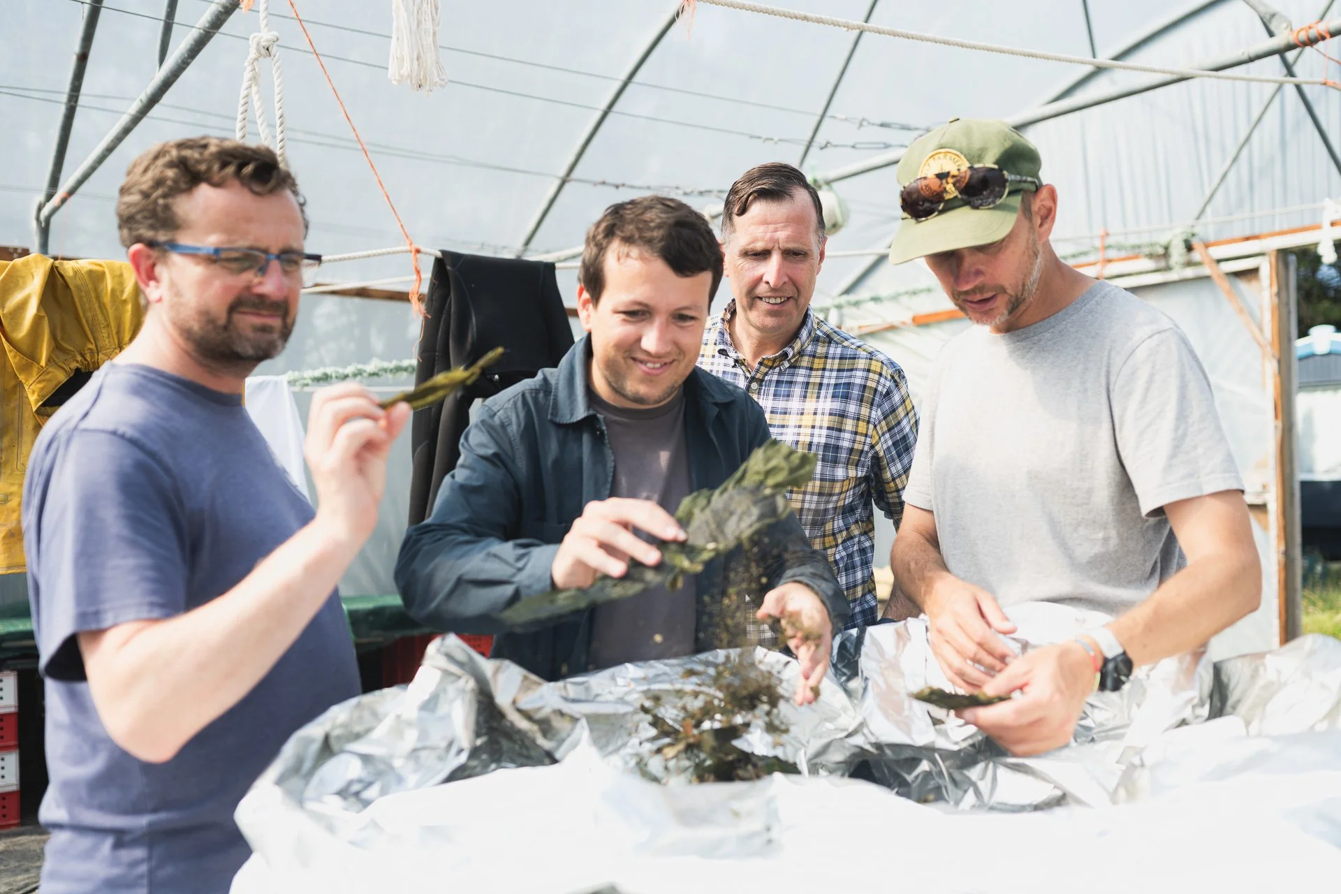 Visitors examining samples of seaweed during the Câr-y-Môr farm visit.