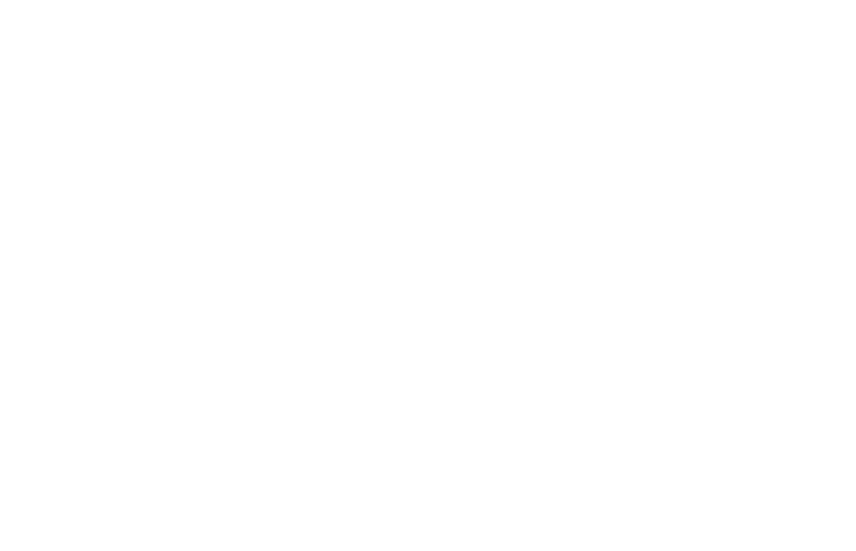 Summit Investigations