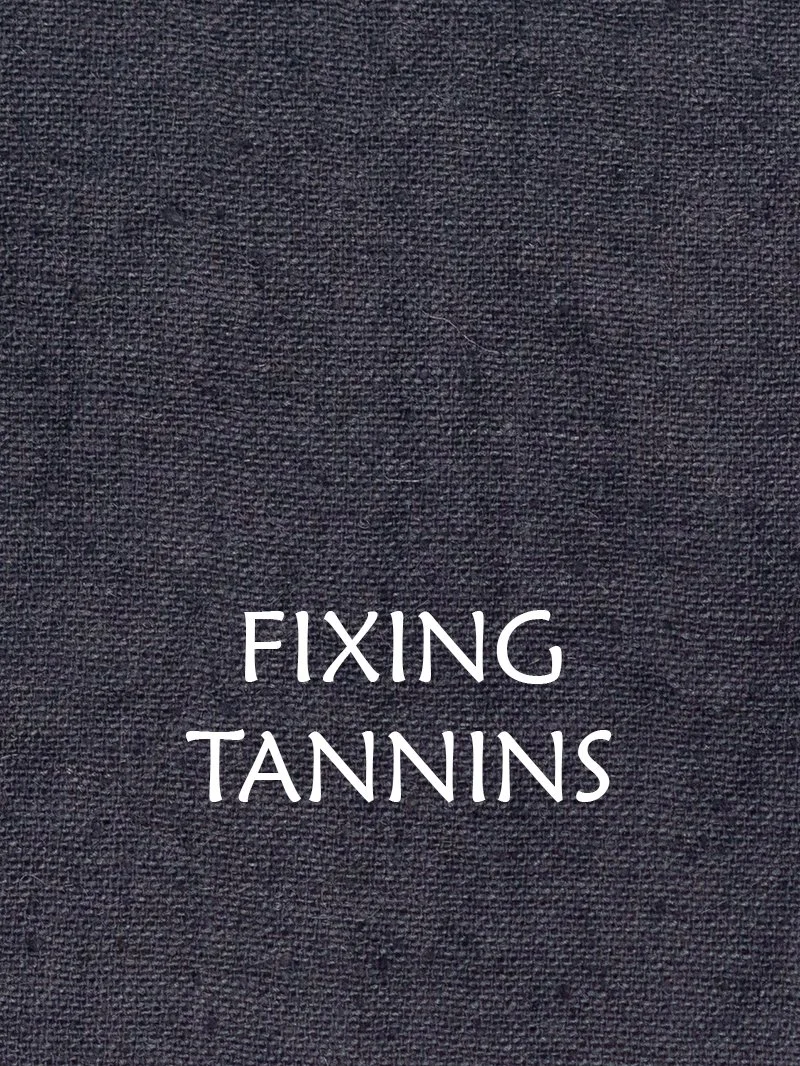 A swatch of cotton dyed dark gray, with the caption "Fixing Tannins."