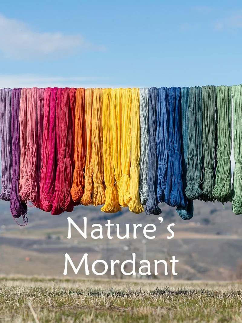 Skeins of yarn dyed a rainbow of colors, with the caption "Nature's Mordant."
