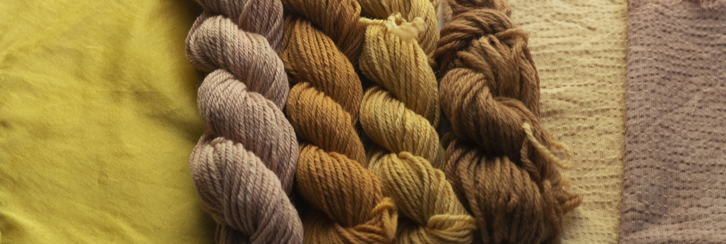 Dyeing With Himalayan Rhubarb Extract — Shepherd Textiles