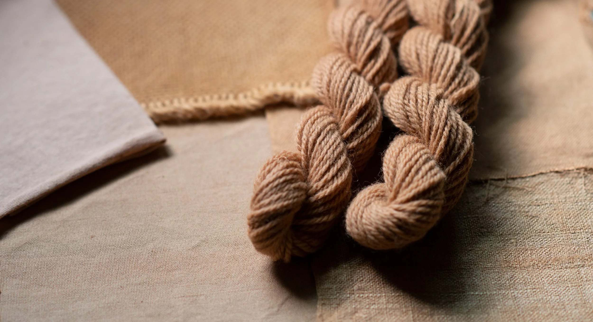 Dyeing With Quebracho Wood (Schinopsis Balansae) — Shepherd Textiles