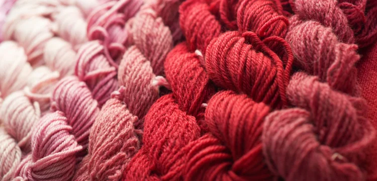 Dyeing With Cochineal — Shepherd Textiles