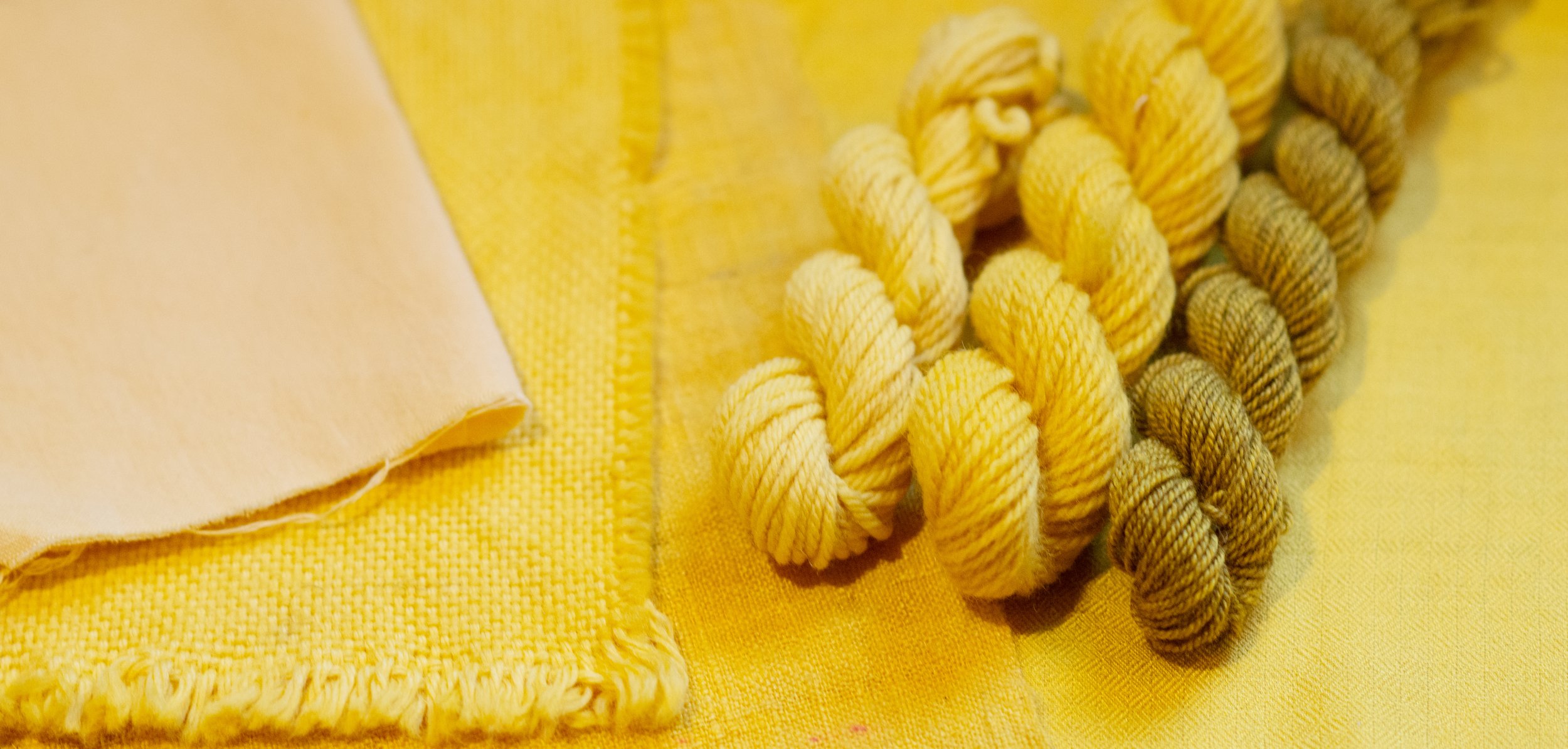 Gardenia Yellow Extract supplier Gardenia Yellow Extract supplier