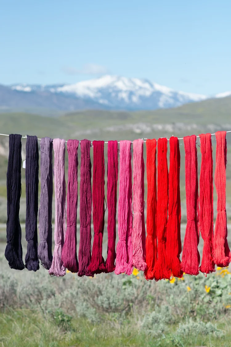 Dyeing With Cochineal — Shepherd Textiles