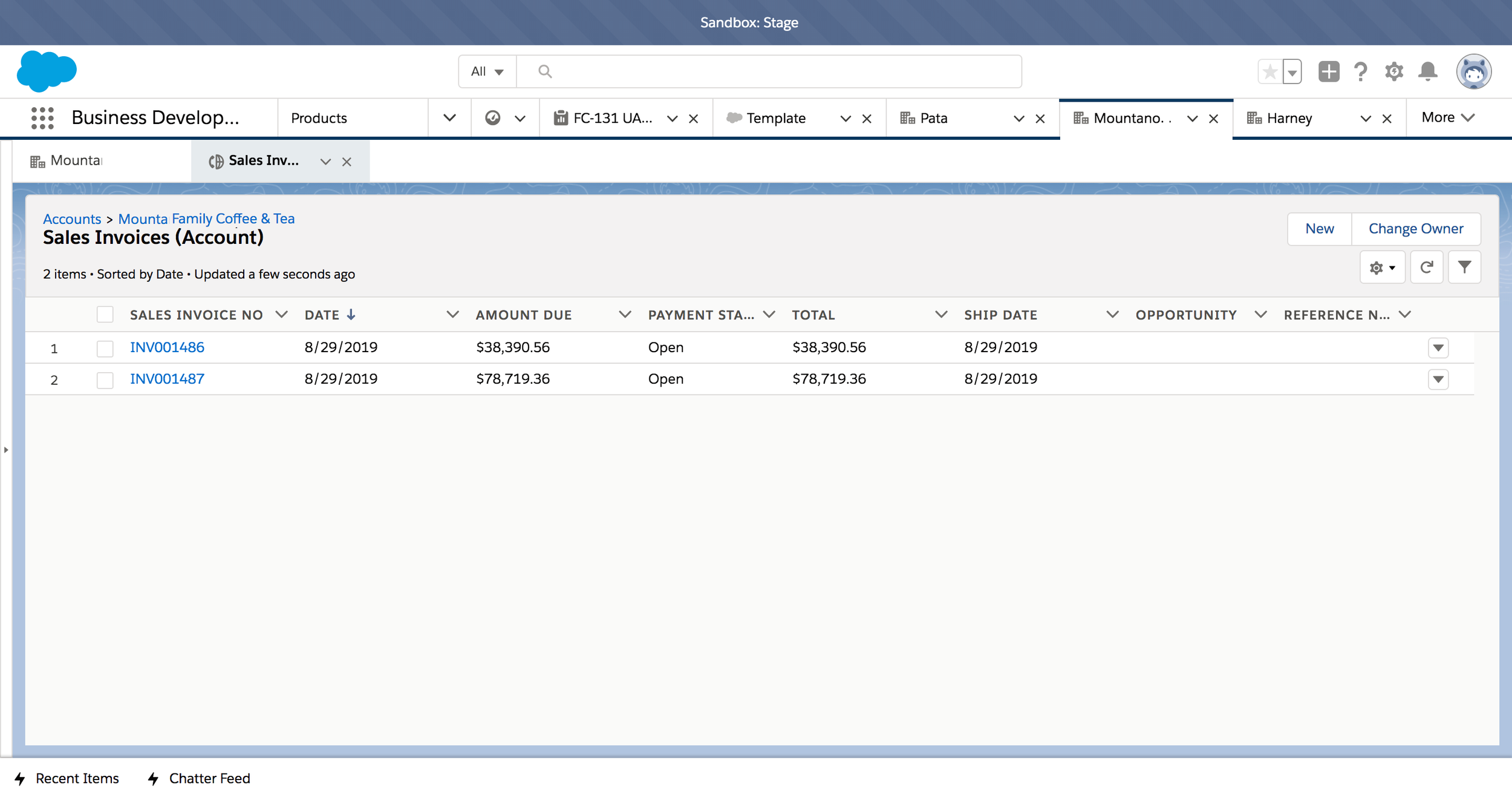 Invoices shown in Salesforce