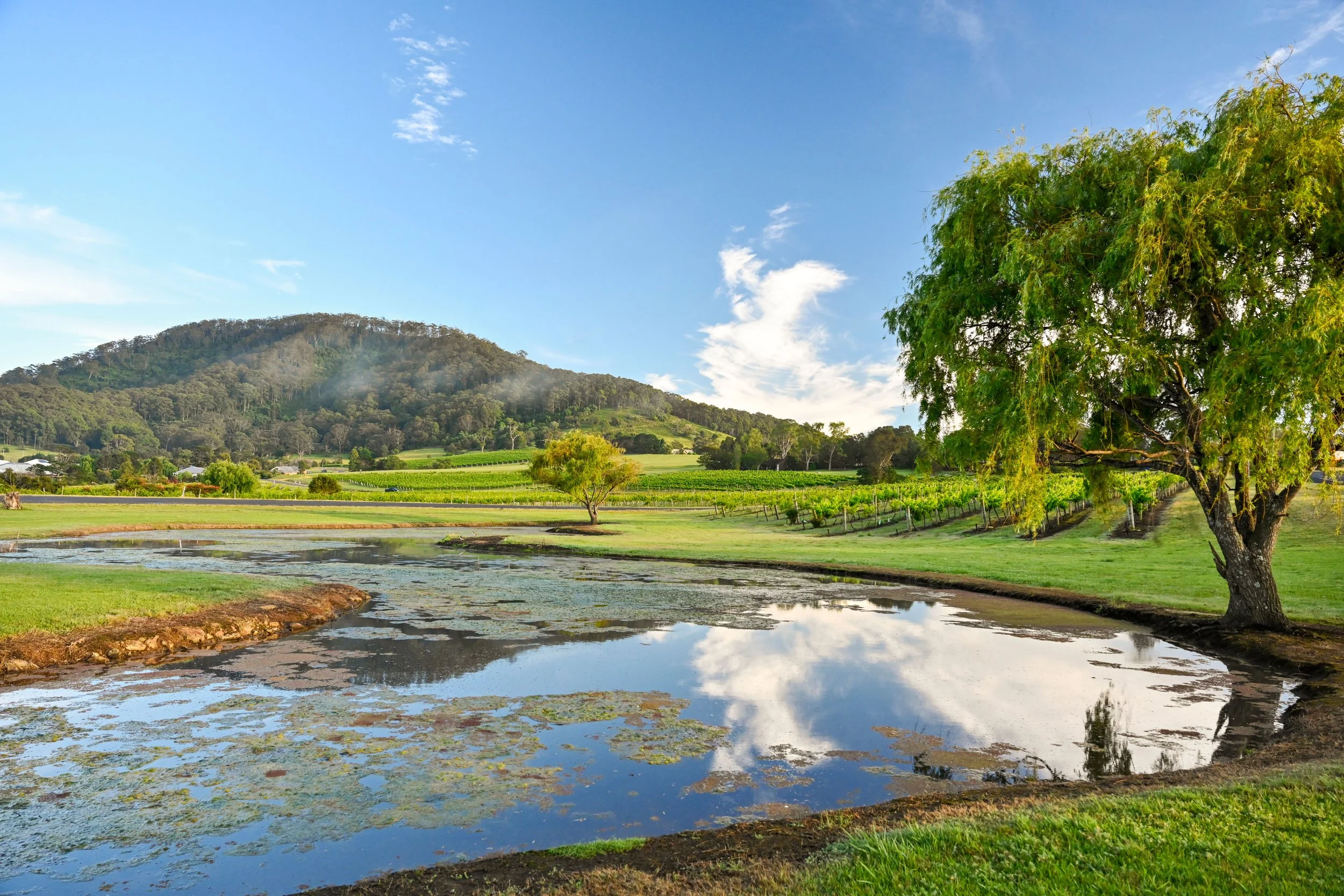 Location & Lifestyle — Maculata Park Cambewarra