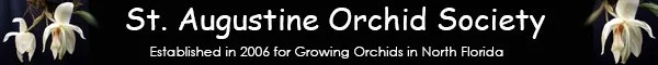 Talk @ St. Augustine Orchid Society Meeting