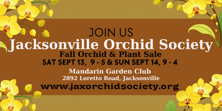 Jacksonville Orchid Society Fall Sale
