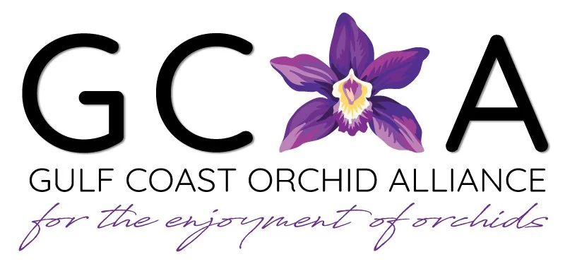 2026 Gulf Coast Orchid Alliance Show