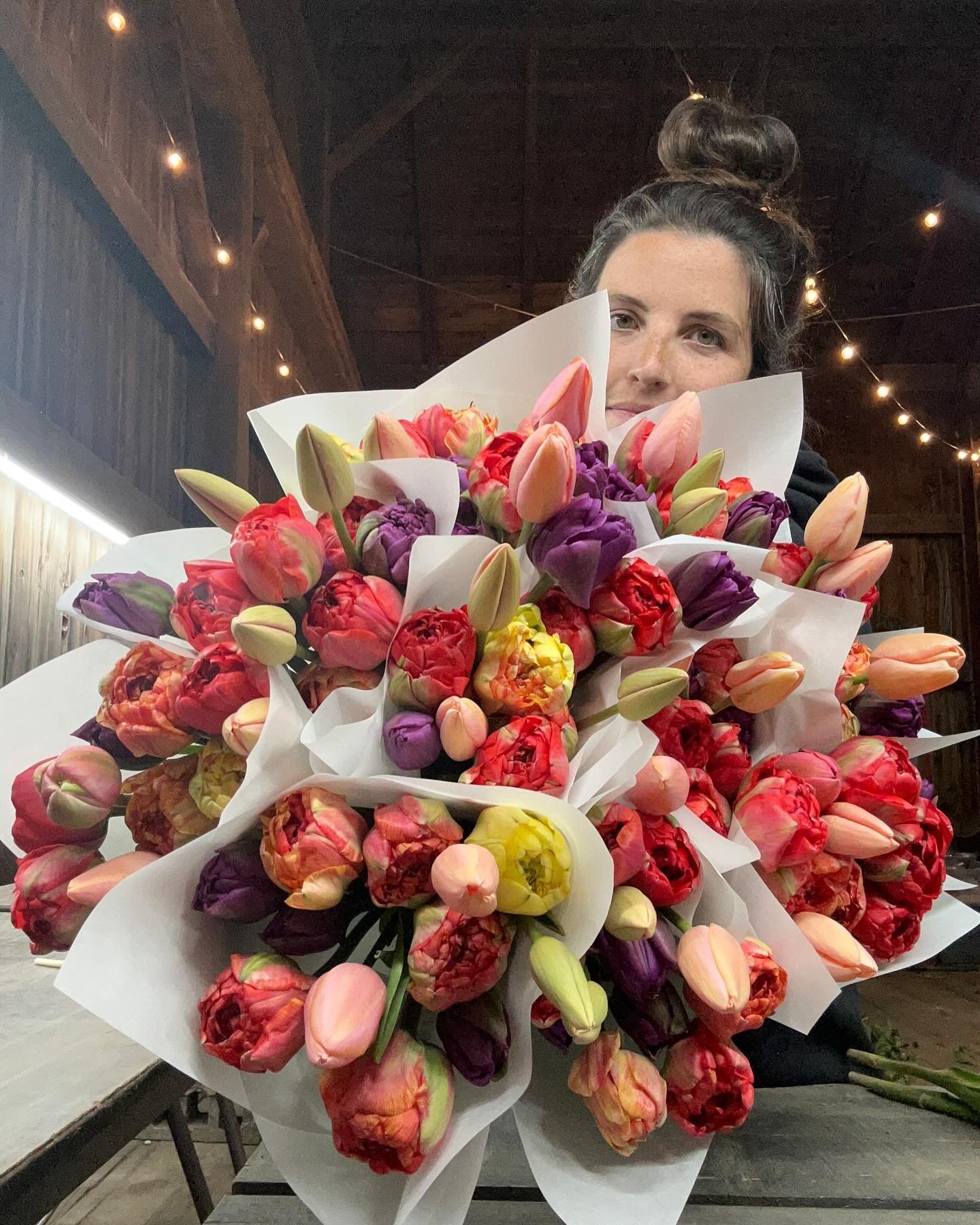 Week 2 subscriptions are on the stand this morning!

We&rsquo;ll be fully stocked all day with $25 Tulip bouquets!

🌸9320 Ramsdell
🌸Cash or Venmo 

✌🏼🩷🌸

#browersflowers #rockfordmi #rockfordmichigan #westmichiganflowers