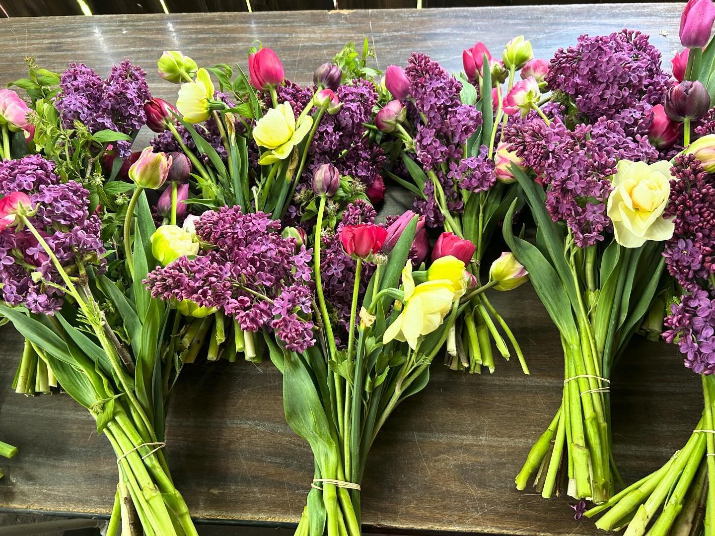 Mother&rsquo;s Day pre-orders for Saturday pick up are out on the stand now! I had so much fun making these and appreciate every single order more than you know.

Every last Tulip is out on the stand this morning.

🌸$25 Tulip Bouquets &amp; a few $4