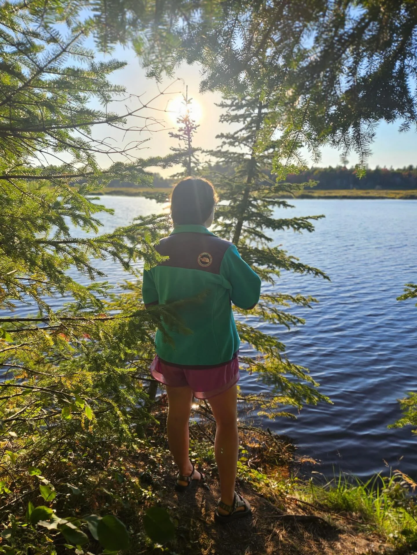 Rockford ➡️ Paradise ➡️ Grand Marais ➡️ MQT ➡️ Porcupine Mountains &hellip; and a few waterfalls in between

Not our typical flower content but thought these deserved a spot here because sweet moments like these are what fuel us and give us energy to