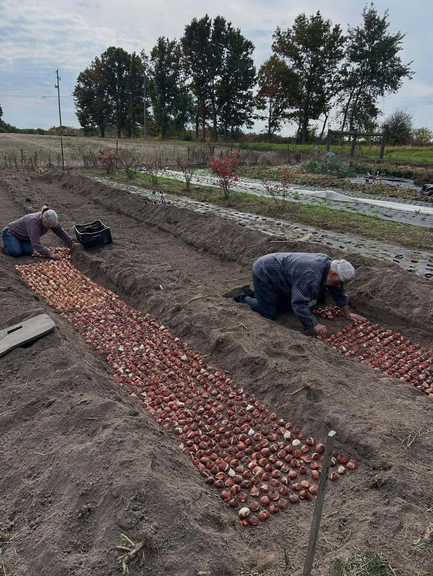 Yesterday was a day I&rsquo;ll hold close to my heart forever.

The Tulips showed up and so did my parents. They always show up and push me forward when I need a little momentum.

When I think about the kind of parent &amp; support I want to be for m
