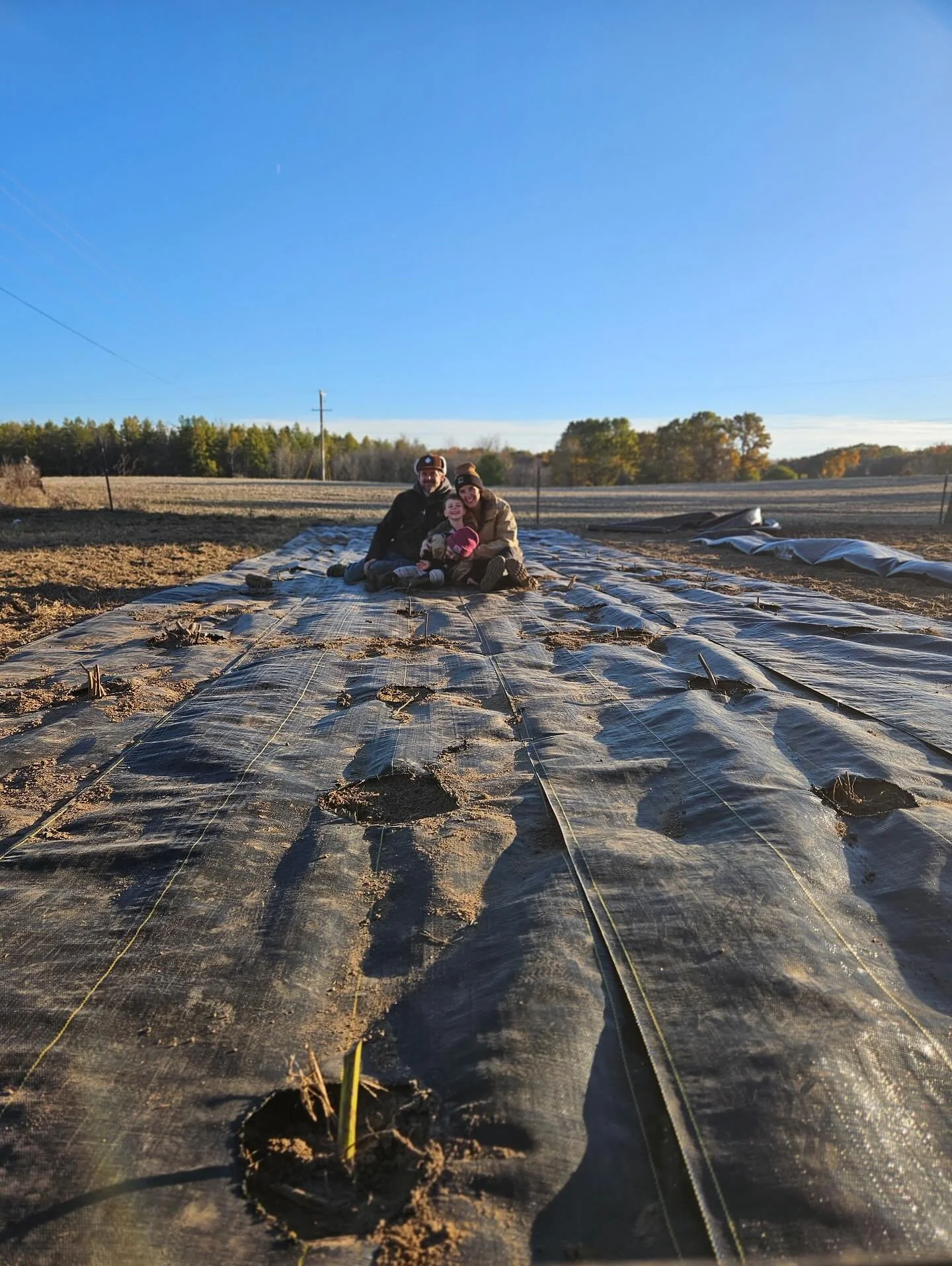 The family that plants Peonies together stays together (or something like that?).

8 years ago my parents dug up the Peonies from my grandparents house and planted them for me at the farm. Last week Lee, my mom and I dug them up and split them again.