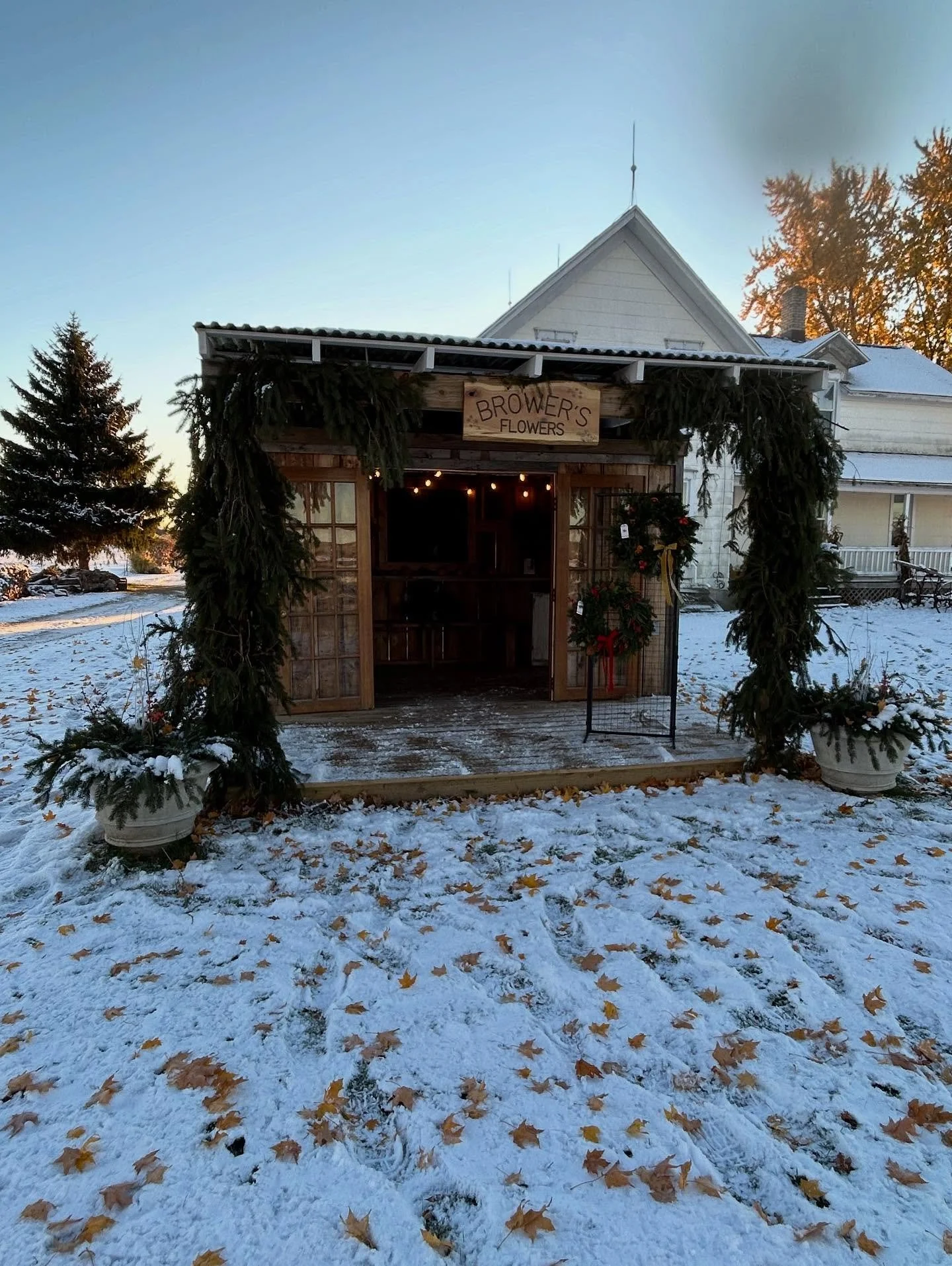Your favorite little stand is open (softly) and ready for you!

I&rsquo;ve got 5 wreaths out to get started with lots more on the way. 

We&rsquo;ll be rolling out the holiday magic all week.

I&rsquo;ve still got to put some finishing touches on the