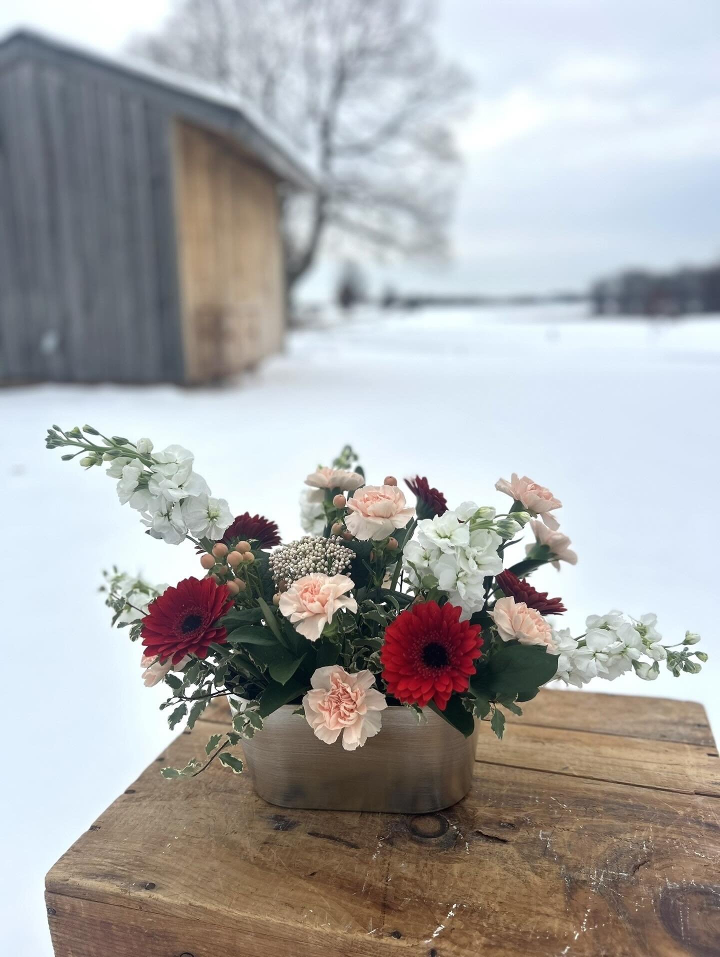 Holiday Florals are here! Head to the link in my bio to get your order in.

There are three beautiful options for you to choose from and you can order anytime now through Christmas Eve. 

Teacher gifts, a centerpiece for your table, or maybe just a l