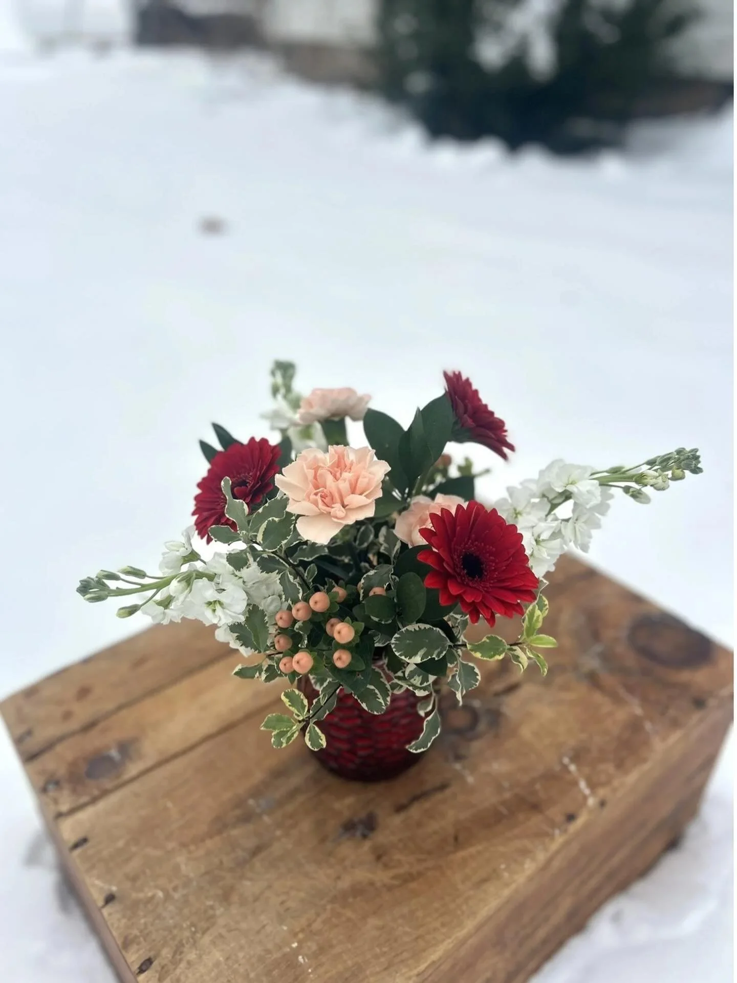 🌲 G I V E A W A Y 🌲 

In an effort to spread the word that we are OFFICIALLY your go to for everyday floral arrangements year round,  I&rsquo;m going to give one lovely human one of our Merry &amp; Bright Holiday Arrangements.

Flowers for birthday