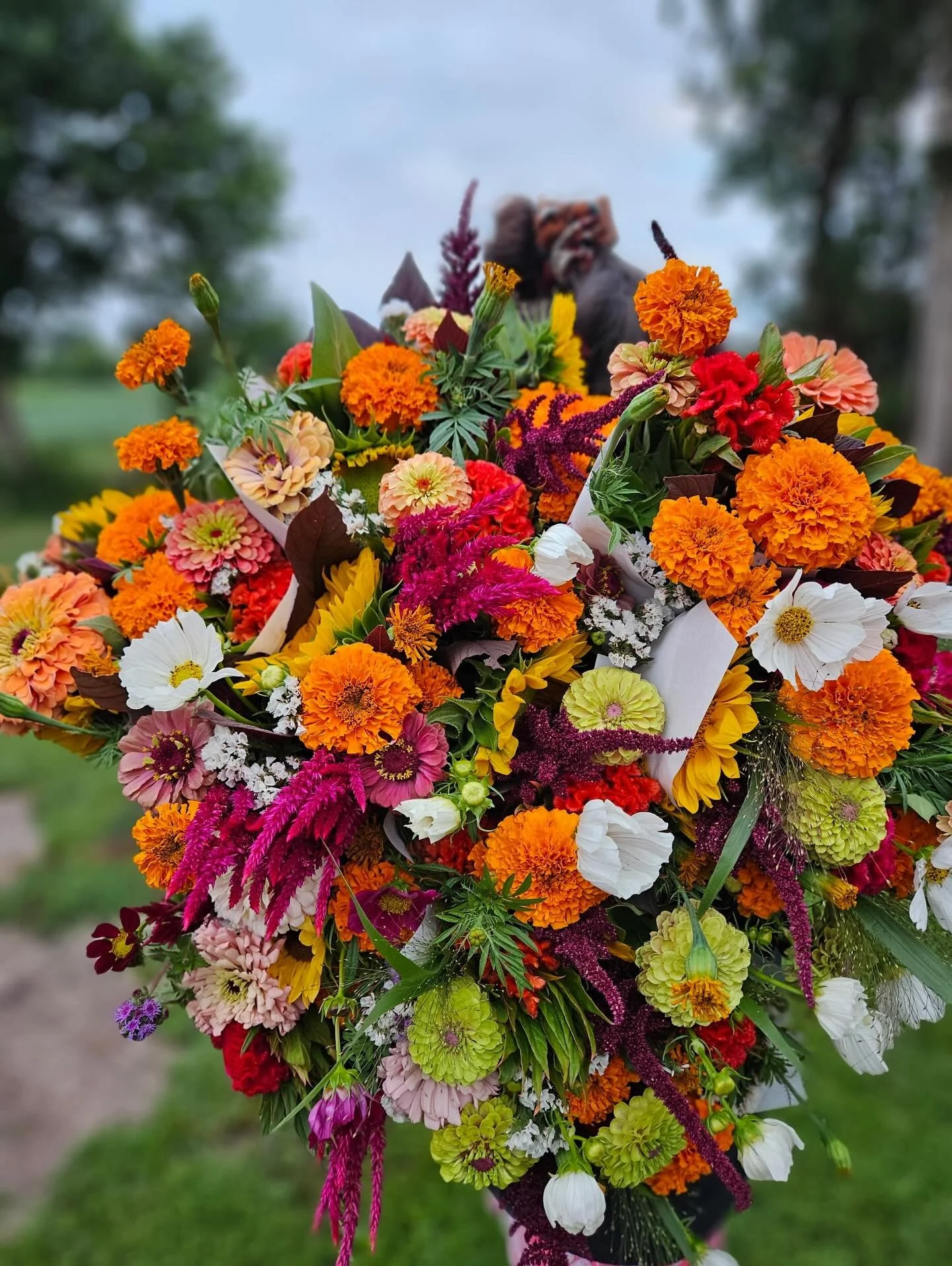 Dreaming of sunny, barefoot garden days, early morning harvests, and a cooler full of locally grown magic.

Something I&rsquo;m learning through the process of opening up our new space is that I&rsquo;ve been so dang spoiled to head out to the garden