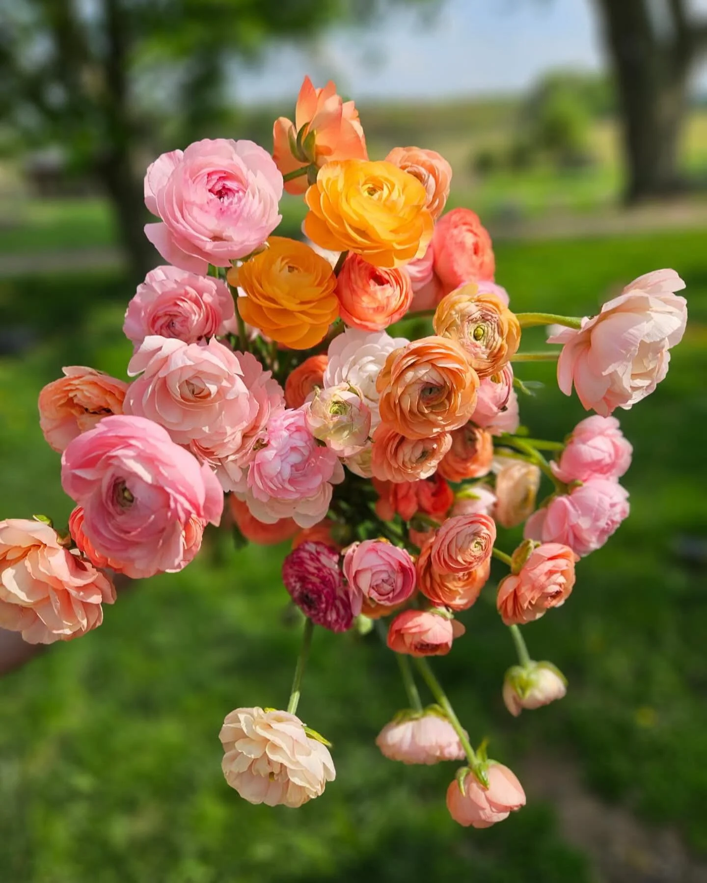 Spring is coming. &ldquo;Brighter days ahead&rdquo; I tell myself. My son hasn&rsquo;t been to school in over a week. Each glorious solo work day foiled by snow and cancelled school.
Honestly though? I secretly pray for the snow days. What a gift to 