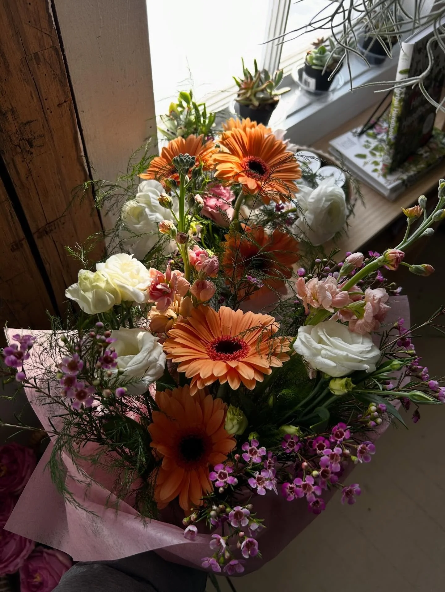 Flower &amp; houseplant restock @maisonblancshops this morning!

Final day of grand opening is happening today from 12-4. Get out, soak up some sun, and support so many incredible local vendors.

From here on out you&rsquo;ll be find our flowers in d