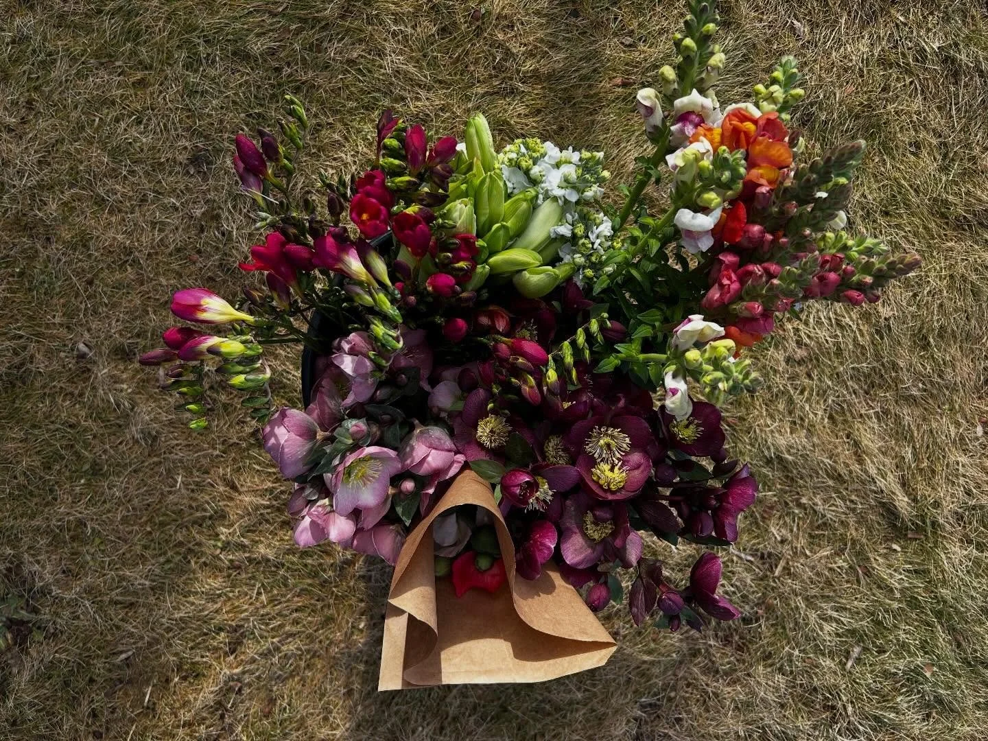 Please ignore the sad brown grass and focus all of your attention to this bucket of locally grown flowers that @wmflowermarket just delivered right to my front door. 

There is a time and a place for imported flowers but man have I missed the uniquen